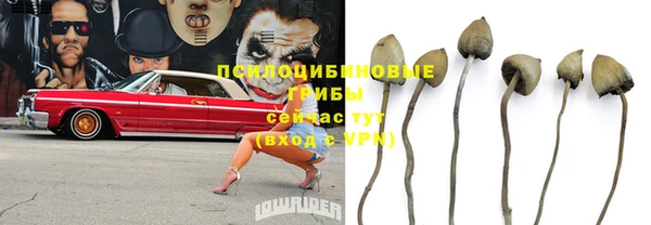 стаф Магадан