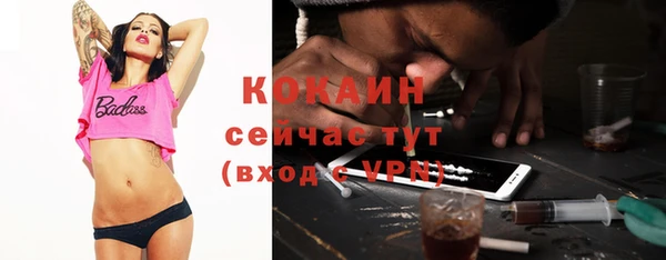 стаф Магадан