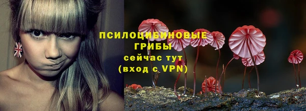 стаф Магадан