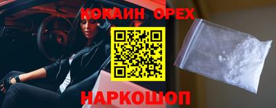 дурь Камышлов