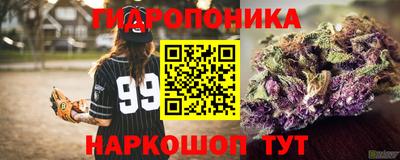 тгк Кандалакша