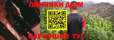 дурь Камышлов