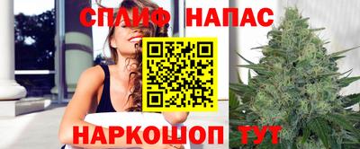 дурь Камышлов