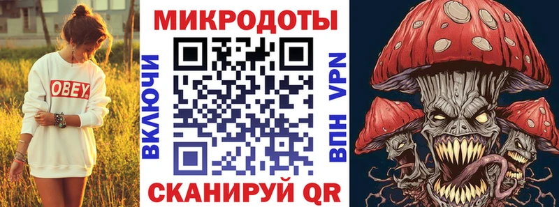 Псилоцибиновые грибы Cubensis маркетплейс как зайти Краснодар