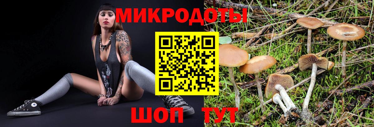 Галлюциногенные грибы Magic Shrooms Краснодар